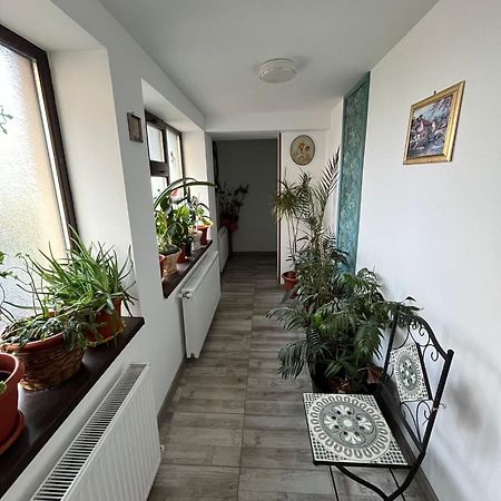 Solaria Budget Studio Galaţi Dış mekan fotoğraf
